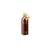 WILD AOUD EDP 100ML